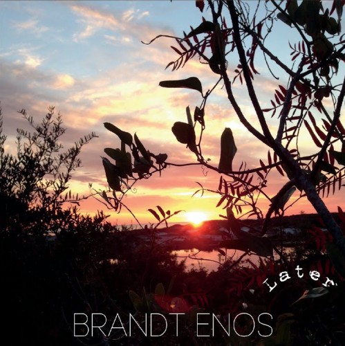 Brandt Enos - Later